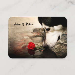Hund mit Rote Rose Visitenkarte