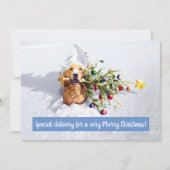 Hund mit Schnee Einladung (Vorderseite)