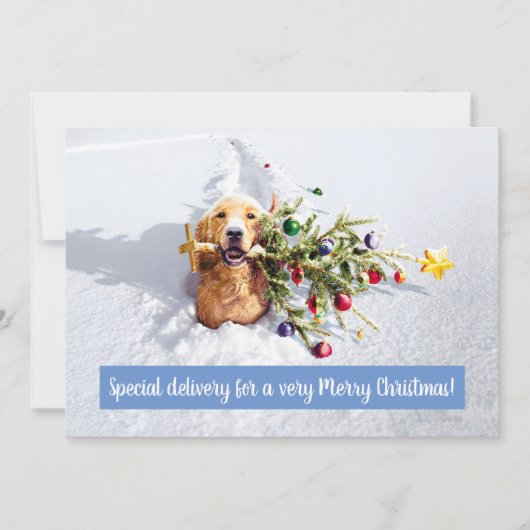 Hund mit Schnee Einladung (Vorderseite)