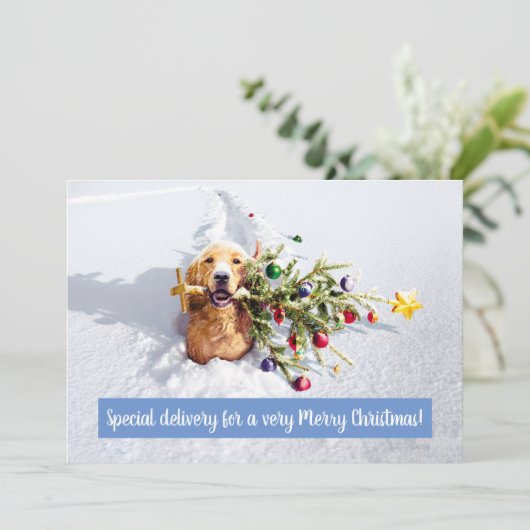 Hund mit Schnee Einladung (Stehend Vorderseite)