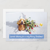 Hund mit Schnee Einladung (Vorne/Hinten)