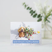 Hund mit Schnee Einladungspostkarte (Stehend Vorderseite)