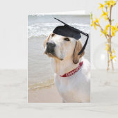 Hund mit schwarzer Graduierungskappe Karte (Gelbe Blume)
