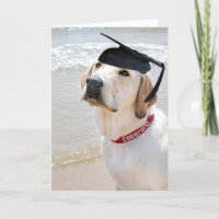 Hund mit schwarzer Graduierungskappe