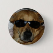 Hund mit Sonnenbrille Button (Vorderseite)