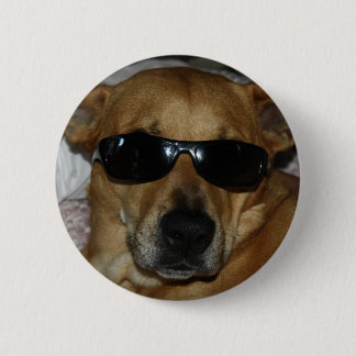 Hund mit Sonnenbrille Button