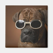Hund mit Sonnenbrille Magnet (Vorne)