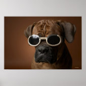 Hund mit Sonnenbrille Poster (Vorne)
