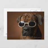 Hund mit Sonnenbrille Postkarte (Vorne/Hinten)