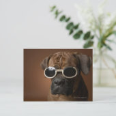 Hund mit Sonnenbrille Postkarte (Stehend Vorderseite)