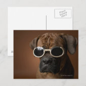 Hund mit Sonnenbrille Postkarte (Vorne/Hinten)