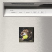 Hund mit Tennisball Magnet (In Situ (Geschirrspüler))