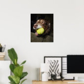 Hund mit Tennisball Poster (Heimbüro)