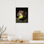 Hund mit Tennisball Poster (Küche)