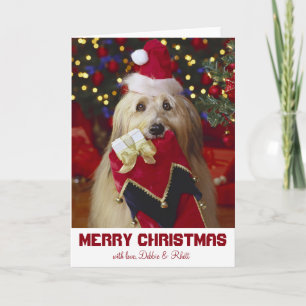 Hund mit Weihnachts-Strumpf Feiertagskarte
