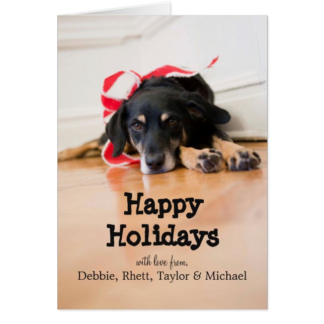 Hund mit Weihnachtsbändern (Vorne)