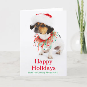 Hund mit Weihnachtskragen und -Weihnachtsmannmütze Feiertagskarte