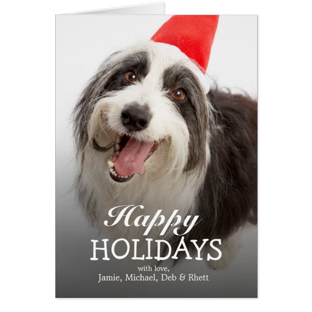 Hund mit Weihnachtsmannmütze (Vorne)