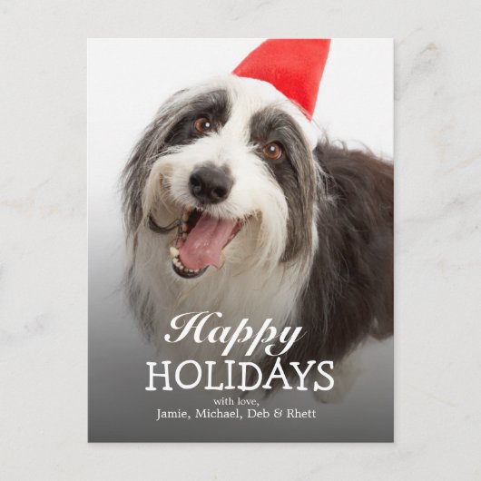 Hund mit Weihnachtsmannmütze Feiertagspostkarte (Vorderseite)