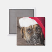 Hund mit Weihnachtsmannmütze Magnet (Vorderseite/Rückseite)
