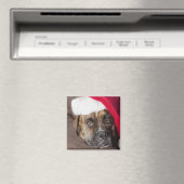 Hund mit Weihnachtsmannmütze Magnet (In Situ (Geschirrspüler))