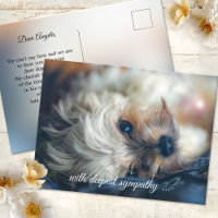 Hund Mitgefühl Postkarte
