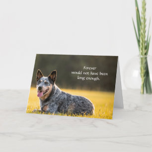 Hund-Mitleidskarte für Verlust Gedenken mit Foto Karte