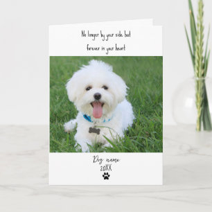 Hund-Mitleidskarte für Verlust Gedenken mit Foto Karte