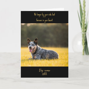 Hund-Mitleidskarte zum Verlust Gedenken mit Foto Karte