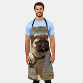 Hund,Mops,Badehandtuch-Set, Set Schürze (Getragen)