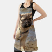 Hund, Mops, Mops Badetuch Set, Set Schürze (InSitu)