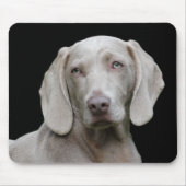 Hund Mousepad (Vorne)