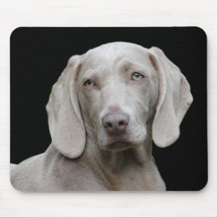 Hund Mousepad