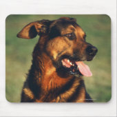 Hund Mousepad (Vorne)