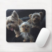 Hund Mousepad (Mit Mouse)