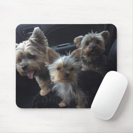 Hund Mousepad (Mit Mouse)
