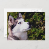 Hund nach oben postkarte (Vorne/Hinten)