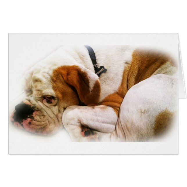 Hund nach unten (Vorderseite (Horizontal))