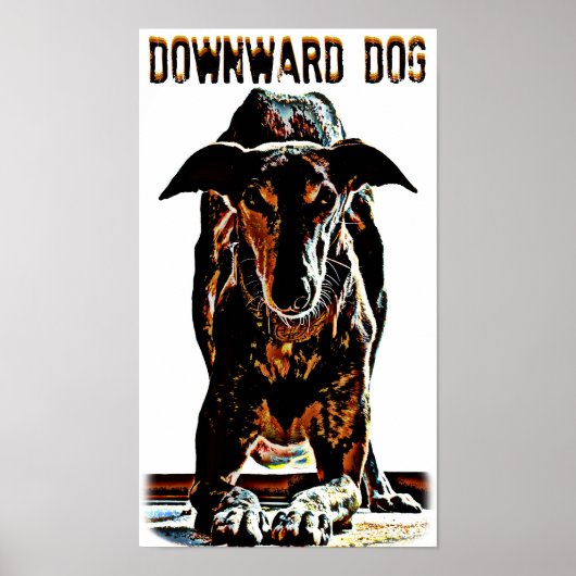 Hund nach unten poster (Vorne)
