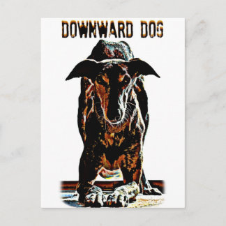 Hund nach unten postkarte