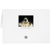 Hund nah (Rückseite Horizontal)