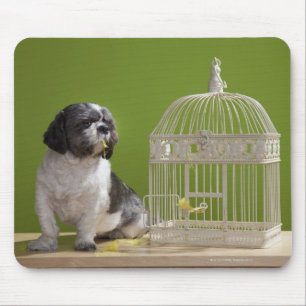 Hund nah an einem Vogelkäfig Mousepad