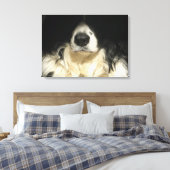Hund nah leinwanddruck (Insitu (Schlafzimmer))