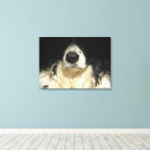 Hund nah leinwanddruck (Insitu (Holzboden))