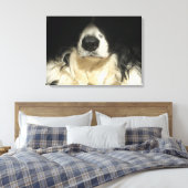 Hund nah leinwanddruck (Insitu (Schlafzimmer))