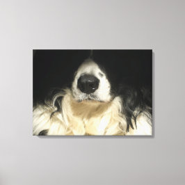 Hund nah leinwanddruck