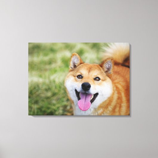 Hund, nah leinwanddruck (Vorderseite)