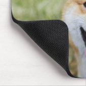 Hund, nah mousepad (Ecke)