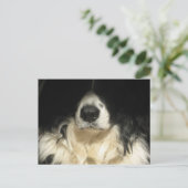Hund nah postkarte (Stehend Vorderseite)