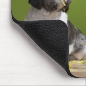 Hund nah zu einem Vogelkäfig Mousepad (Ecke)